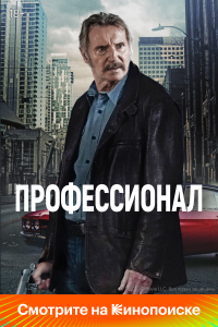  Профессионал (2024) 