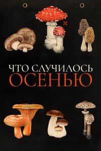  Что случилось осенью (2024) 