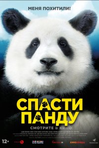  Спасти панду (2020) 