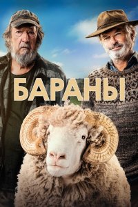  Бараны (2020) 