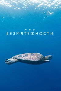  Мир безмятежности (2020) 