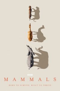  Млекопитающие (2024) 