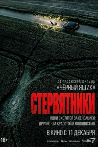  Стервятники (2025) 