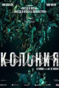  Колония 
